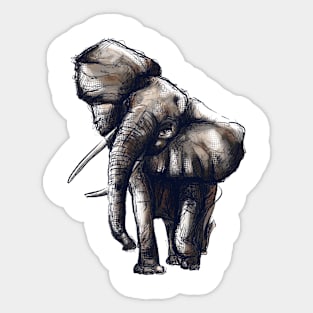 African Elephant Sticker